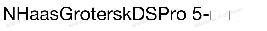 NHaasGroterskDSPro 5字体转换